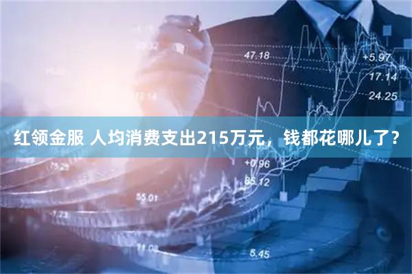红领金服 人均消费支出215万元，钱都花哪儿了？