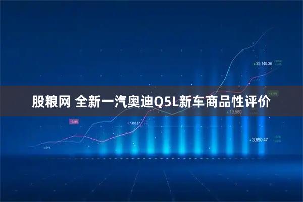 股粮网 全新一汽奥迪Q5L新车商品性评价