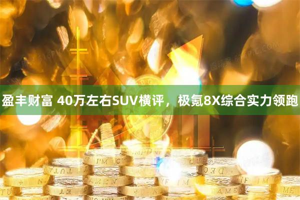 盈丰财富 40万左右SUV横评，极氪8X综合实力领跑