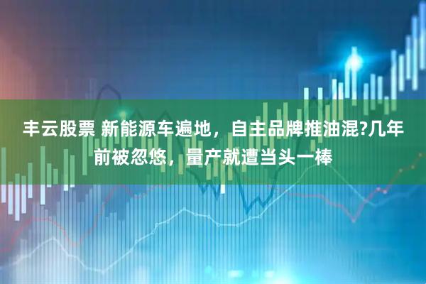 丰云股票 新能源车遍地，自主品牌推油混?几年前被忽悠，量产就遭当头一棒